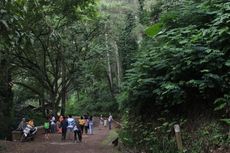 Pengunjung Taman Hutan Raya Bandung Wajib Kumpulkan Sampah