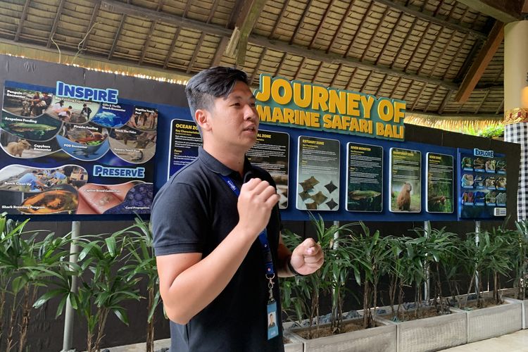 Kurator satwa Marine Safari Bali, Ken K, saat menjelaskan zona satwa di Marine Safari Bali, Rabu (27/8/2025).