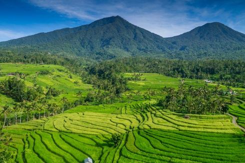 Dikenalkan Basuki Saat Kongres Air Dunia di China, Ini Sistem Irigasi Subak Bali