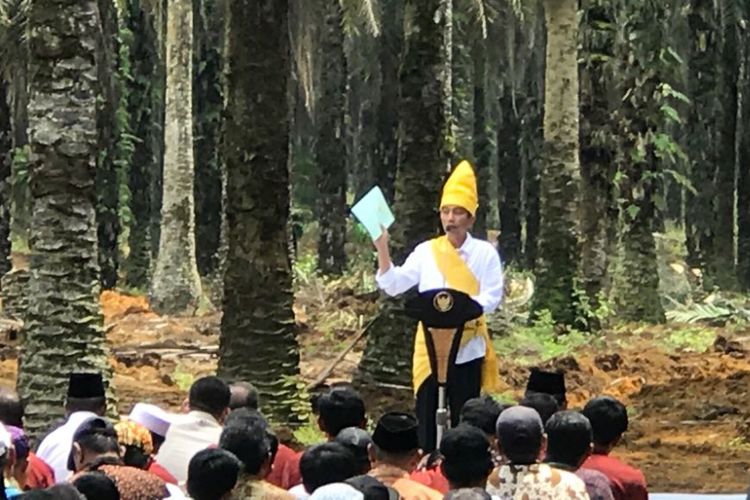 Presiden Joko Widodo saat meresmikan program peremajaan perkebunan sawit rakyat di Rokan Hilir, Riau, Rabu (9/5/2018).