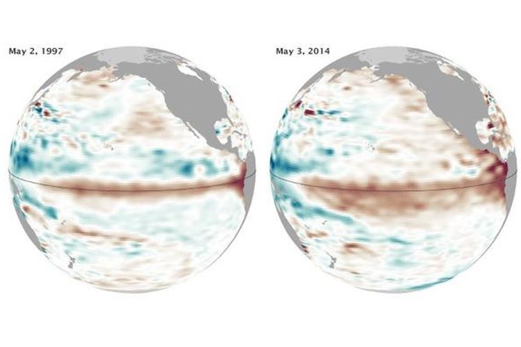 Peta menunjukkan perkembangan fenomena El Nino tahun 1997 (kiri) dan 2014 (kanan). Arsiran kecoklatan menunjukkan wilayah dengan perairan lebih hangat dan muka air laut lebih tinggi. Warna kebiruan menunjukkan perairan yang lebih dingin. Warna putih menunjukkan perairan dengan suhu normal. 