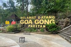 Sejarah Goa Gong Pacitan, Ditemukan sejak Tahun 1924