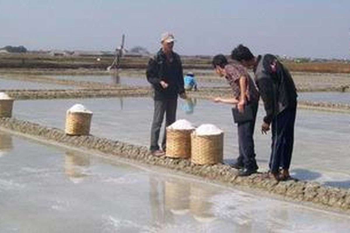 Petani garam wedung demak penerima PUGAR,panen garam ,Rabu (3/8/2011)