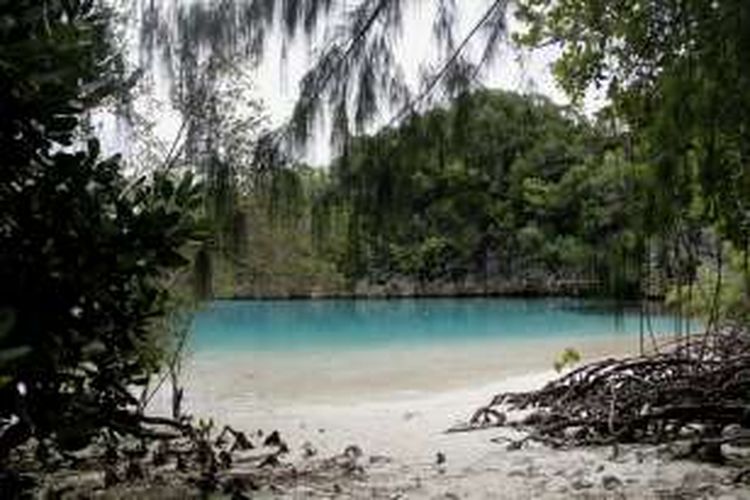 Pasir putih di Pulau Rufas pada Senin (1/6/2016). Pulau Rufas terletak di Desa Pam, Distrik Waigeo Barat Kepulauan, Kabupaten Raja Ampat, Papua Barat. Lanskap air laut jernih serta tebing batu karst bisa terlihat dari puncak bukit. 