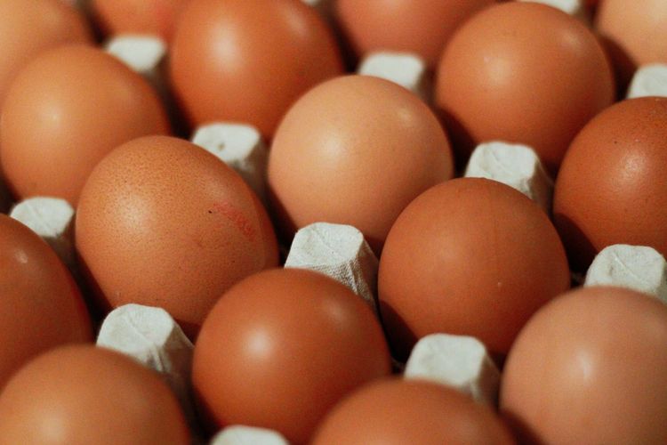 Ilustrasi telur, telur ayam.