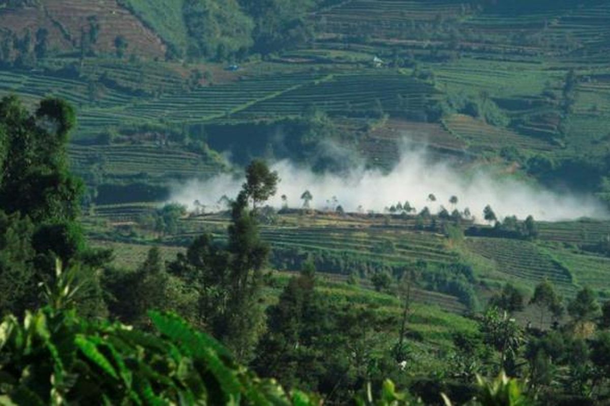 Aliran uap air yang terjebak di antara gas karbondioksida (CO2) mengalir dari Kawah Timbang di Dataran Tinggi Dieng, Kabupaten Banjarnegara, Jawa Tengah, Selasa (26/3/2013) menuju ke arah selatan menuju lembah Kali Sat. Aliran uap air mengandung gas beracun ini bisa mencapai 350 meter dari kawah. Status Kawah Timbang di Dusun Simbar, Desa Sumberejo, Kecamatan Batur, Banjarnegara tiga pekan terakhir masih ditetapkan Waspada. Hingga kini, konsentrasi gas CO2 dan hidrogen sulfida (H2S) masih di atas batas normal. Warga dilarang beraktivitas di dalam zona bahaya yang ditetapkan 500 meter dari kawah. 
