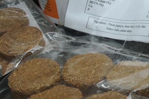 IPB Kembangkan Limbah Sayur Jadi Kue Wafer untuk Domba
