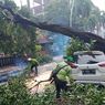 Mobil Tertimpa Pohon Tumbang di Masjid Cut Meutia, Bodi Sebelah Kanan Rusak Parah