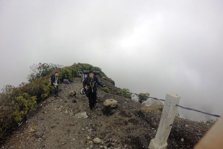 ILUSTRASI l Sejumlah pendaki saat menyusuri puncak Gunung Gede Cianjur, Jawa Barat beberapa waktu silam. Balai Besar TNGGP untuk sementara akan menutup seluruh jalur pendakian pada 16 hingga 17 April 2019 dalam rangka mendukung suksesi Pemilu 2019