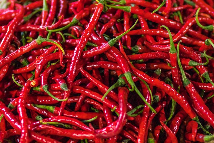 Ilustrasi cabai, cabai merah. 