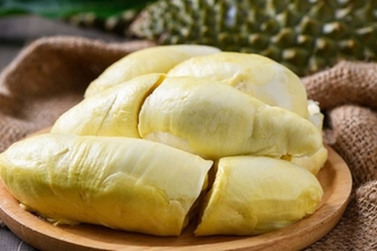 Ilustrasi durian. 