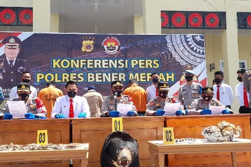 Bidan PNS di Bener Meriah, Aceh Terlibat Jual Beli Sisik Trenggiling