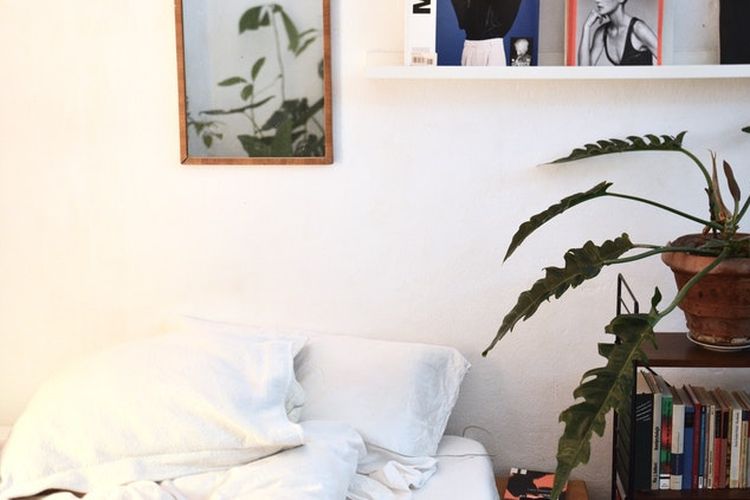 Membawa kehidupan ke dalam kamar tidur, seperti menaruh tanaman hias, bisa membuat ruangan tampak lebih segar dan lebih lega.