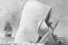 Moby Dick dan Kisah-kisah yang Menjadi Inspirasinya