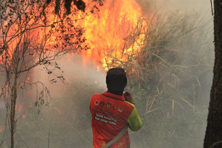 Petugas BPBD melakukan proses pemadaman kebakaran di jalan lintas Palembang-Ogan Ilir yang dikepung karhutla.