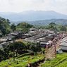 Kampung Tokyo Bogor: Desa Malani dengan Nuansa Jepang di Tengah Kebun Teh