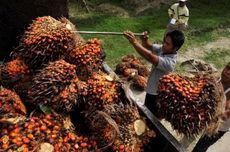 Pekerja Migran Indonesia Tewas dan Luka-luka dalam Tragedi Kebakaran Apartemen di Hongkong, Menteri PPMI: Kami Dampingi Sampai Tuntas