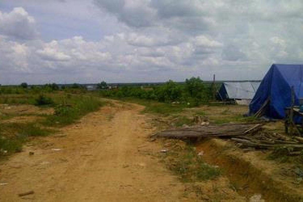 Tenda-tenda pendatang yang hingga Rabu (22/2/2012), masih bertahan di kawasa hutan Register 45 Mesuji di wilayah Suay Umpu.