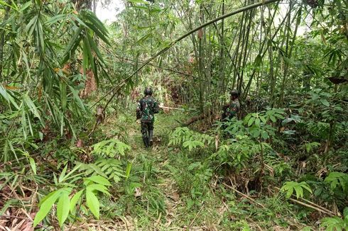 Menyusuri “Jalan Tikus” Perbatasan Indonesia-Malaysia: Jalur Sutra Perlintasan Narkoba...