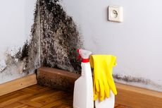 Cara Membersihkan dan Mencegah Jamur pada Dinding Rumah