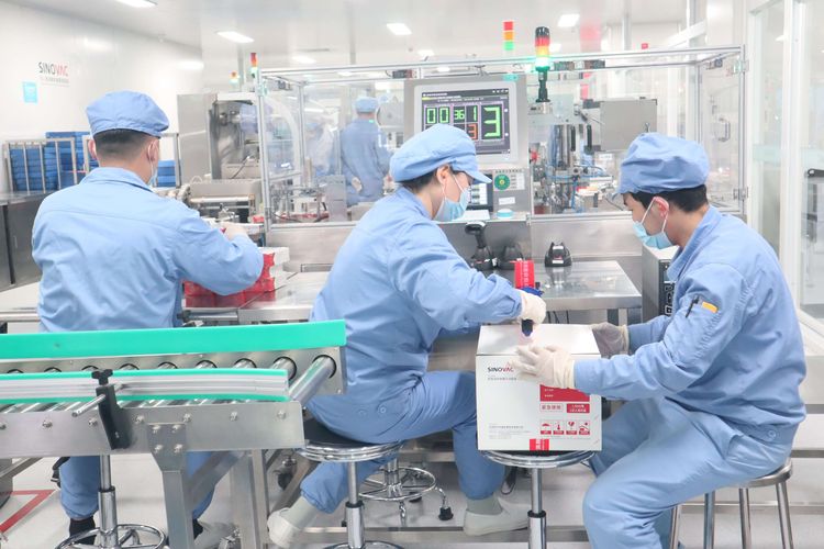 Pekerja bagian pengemasan Sinovac Biotech Ltd beraktivitas di pabrik barunya di kawasan Daxing, Beijing, China, Selasa (18/1/2022). Dengan beroperasinya pabrik baru tersebut, Sinovac mampu menghasilkan tiga hingga empat miliar dosis vaksin Covid-19 per tahun.