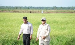 BPS: Pertumbuhan Ekonomi Nasional Triwulan II-2025 Capai 5,12 YoY, Pertanian Sumbang 13,53 Persen