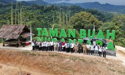 Kembangkan Taman Buah Nusantara, Antam Bangun Geopark Global Pongkor  