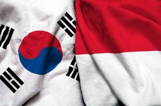 Ragam Peluang Kerja Sama Indonesia-Korea Selatan, Menginjak 50 Tahun Hubungan Diplomasi