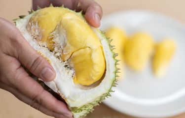Ilustrasi durian. 