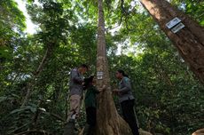 Ibadah Misa Natal 2025 di Gereja Katedral Selesai, Berjalan Aman dan Lancar
