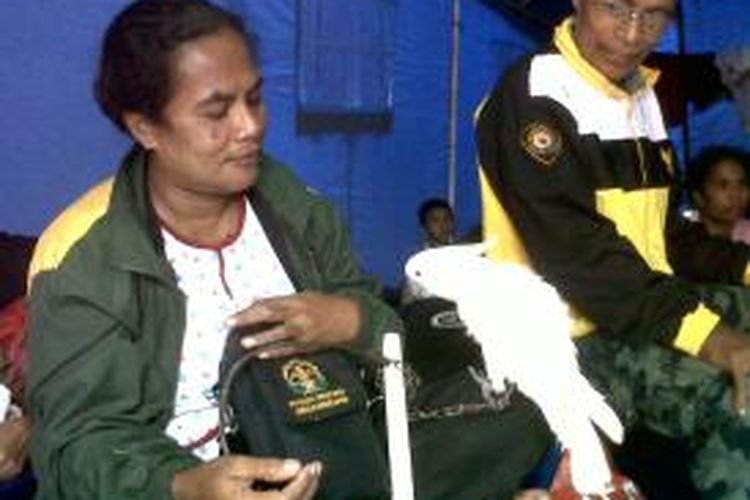 Murni Kaisupy (40), seorang pengungsi korban jebolnya bendungan Wai Ela, bersama Yakop, burung kakatua kesayangannya di tenda pengungsian di Dusun Latan, Jumat (26/7/2013)