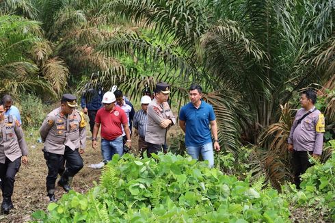 Pembunuh Anak Perempuan yang Ditemukan Tewas di Kebun Sawit Ditangkap