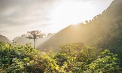  IPBES: Baru 1 Persen Perusahaan yang Ungkap Dampak Lingkungan