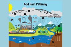 Dampak Positif Hujan Asam