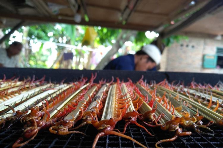 Ratusan tusuk sate lipan siap dikeringkan oleh seorang pekerja di Dusun Belimbing Desa Melati II Kecamatan Perbaungan Serdang Bedagai Sumatera Utara, Senin (13/8/2019). Permintaan lipan kering awalnya dimulai dari Surabaya dan kini menembus pasar Vietnam.