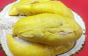 Durian Musang King.
