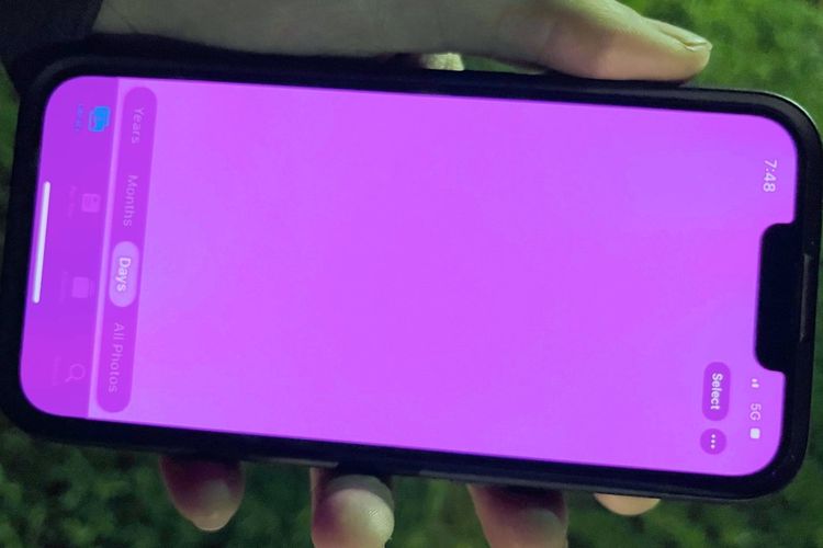 iPhone 13alami masalah layar pink.