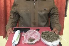 Polisi Tangkap 5 Anggota Sindikat Narkoba,  44 Kg Ganja Disita