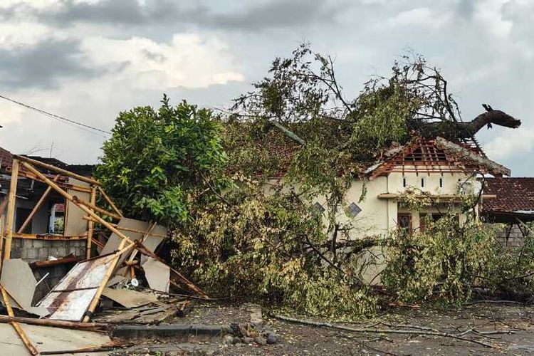 Pohon tumbang menimpa rumah di Kabupaten Sleman dampak dari hujan disertai angin kencang yang terjadi pada Senin (14/10/2024). 