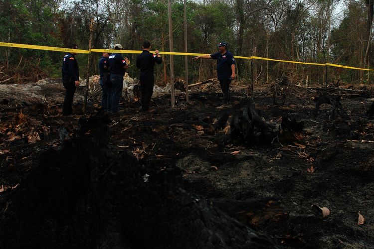 Kementerian Lingkungan Hidup dan Kehutanan (KLHK) melakukan penyegelan di lahan PT DGS di Kabupaten Ogan Komering Ilir (OKI), Sumatera Selatan, lantaran diduga melakukan pembakaran lahan di wilayah konsesi, Kamis (4/10/2019).