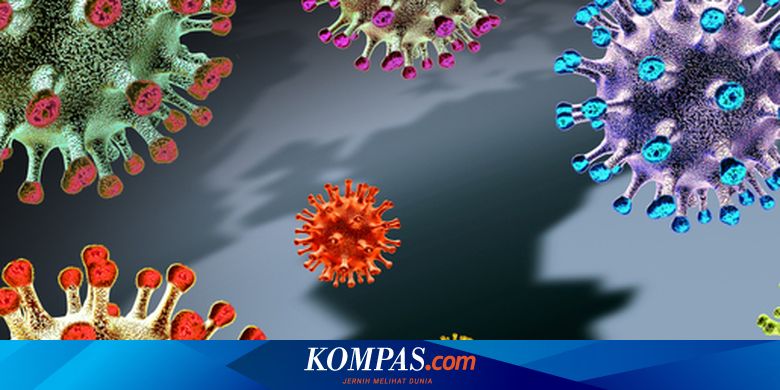 Varian Omicron Belum Masuk Indonesia, Wamenkes: Kita Perketat Pintu Masuk