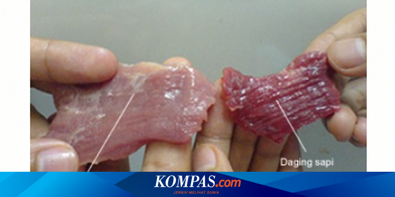 Berikut Bahaya Konsumsi Daging Babi Menurut Para Ahli Gizi Halaman All Kompas Com