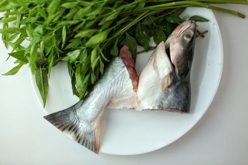 Cara Pilih Ikan Patin yang Benar untuk Bikin Aneka Hidangan