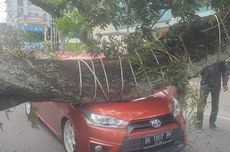 4 Mobil di Medan Ringsek Tertimpa Pohon Tumbang