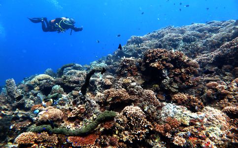 Find Out Which Bali Diving Spots Travel Influencers Recommend