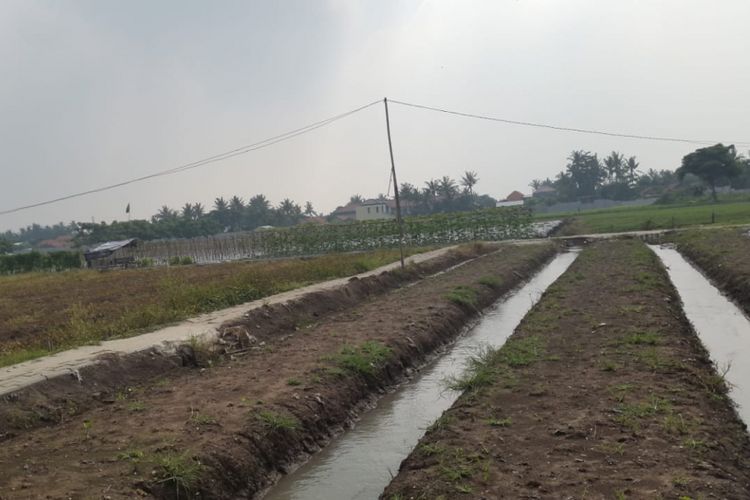 Lahan kebun sayur siap tanam yang dikelola Bagas Suratman di Tangerang, Banten.