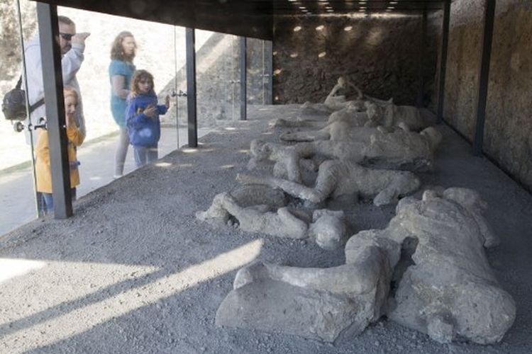 Pengunjung melihat pada tanggal 9 November 2012 melalui kaca pelindung Orto dei fuggiaschi (Taman Buronan) di mana ditampilkan 13 mayat korban yang terkubur oleh abu ketika mereka berusaha melarikan diri dari Pompeii selama letusan Gunung Vesuvius pada 79 M. Taman buronan dibuka kembali pada hari yang sama untuk umum setelah sekitar satu tahun pekerjaan restorasi. 