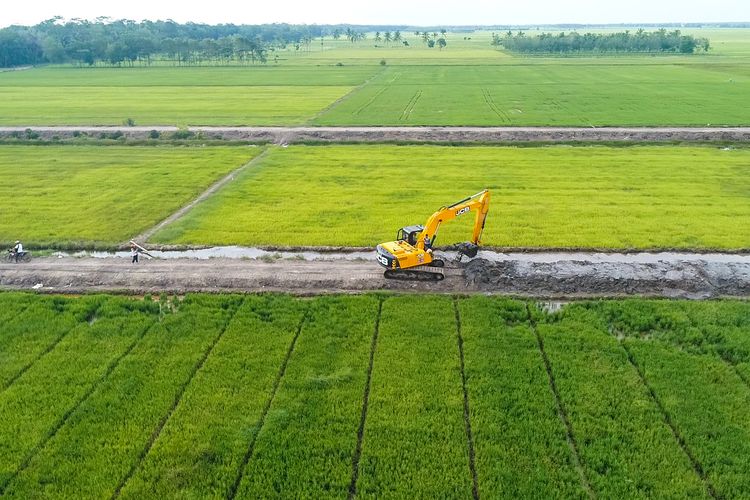 Ilustrasi lahan pertanian.