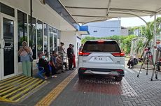 Video Paus Sperma Muncul di Laut Bali, Ahli Ungkap Bukan Jalur Migrasi Tetap