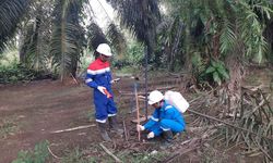 Tancap Gas dari Awal 2026, Elnusa Percepat Eksplorasi Migas di Indonesia Timur lewat Teknologi Canggih